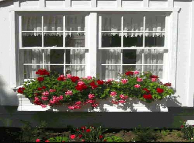 Hướng dẫn bạn cách làm đẹp cho khung cửa sổ